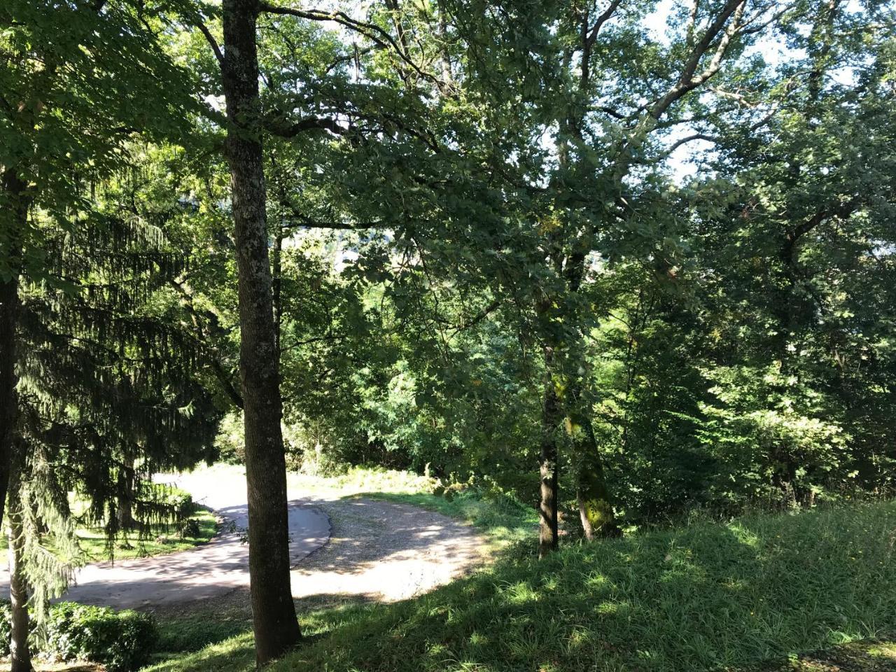 Les Chambres Et Studios Camping Parc De Paletes แซ็ง-จิฮองส์ ภายนอก รูปภาพ